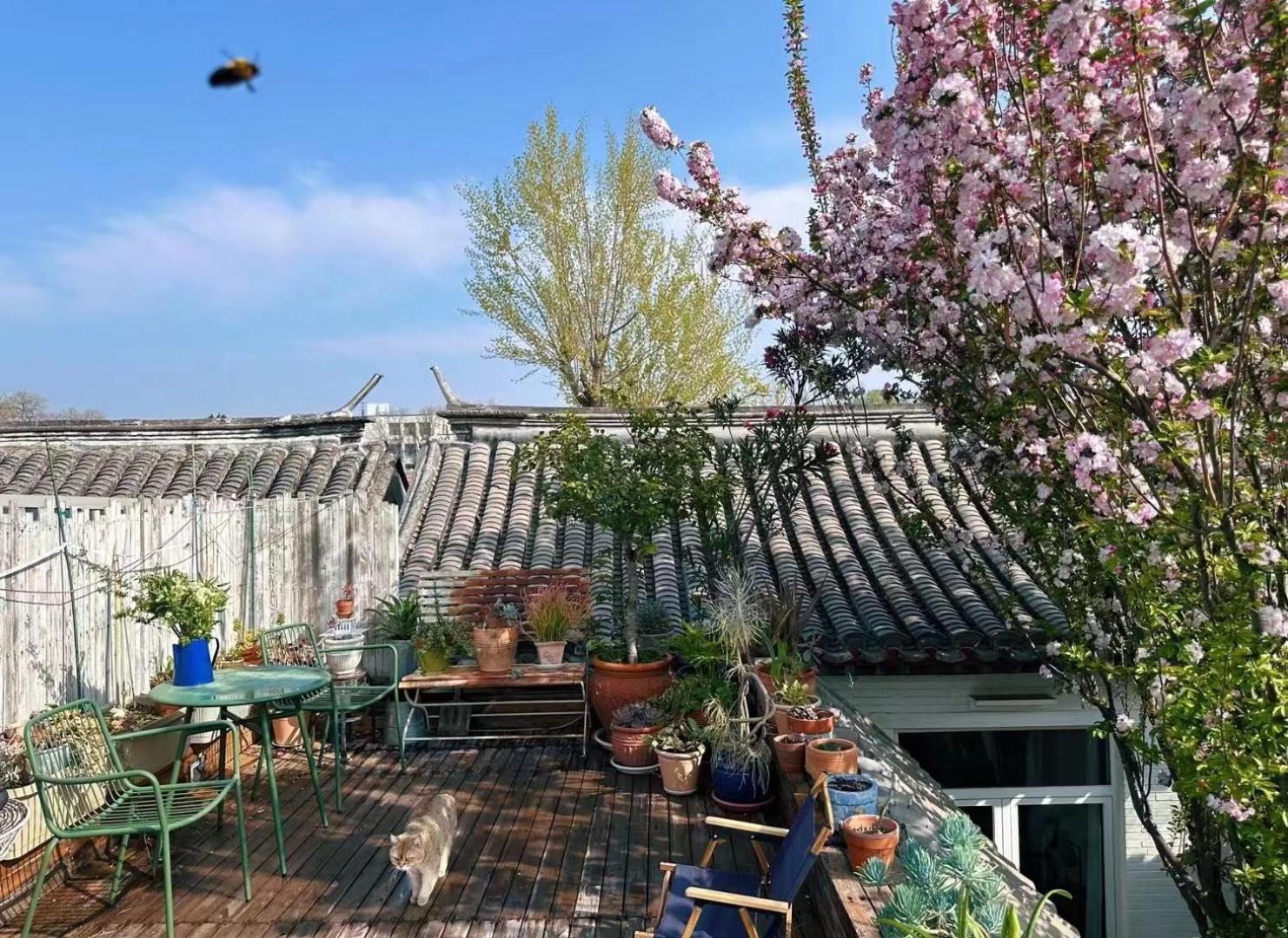 Peking Garden Boutique Hotel Extérieur photo