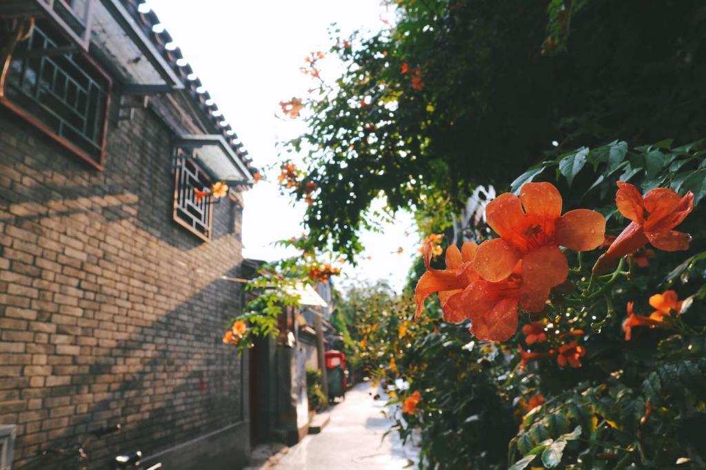 Peking Garden Boutique Hotel Extérieur photo